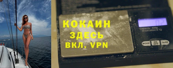 спайс Ельня