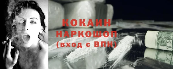 спайс Ельня