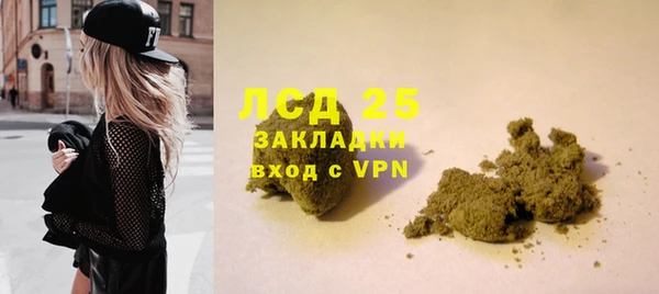 СК Елизово