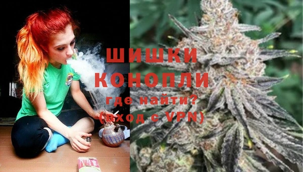 СК Елизово