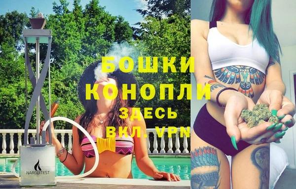 СК Елизово