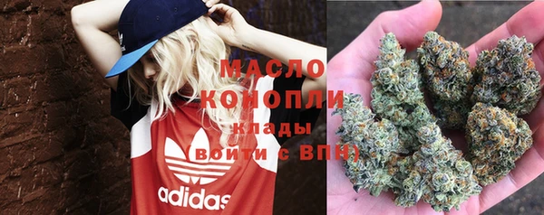 спайс Ельня