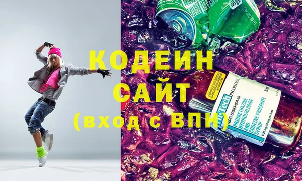 СК Елизово