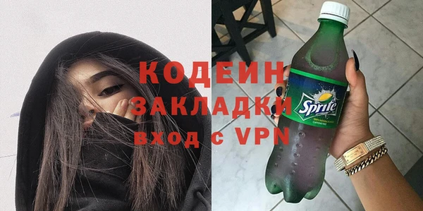СК Елизово