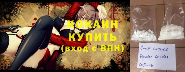 СК Елизово
