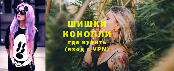 СК Елизово