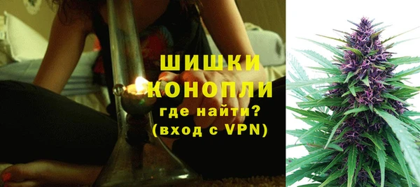 спайс Ельня