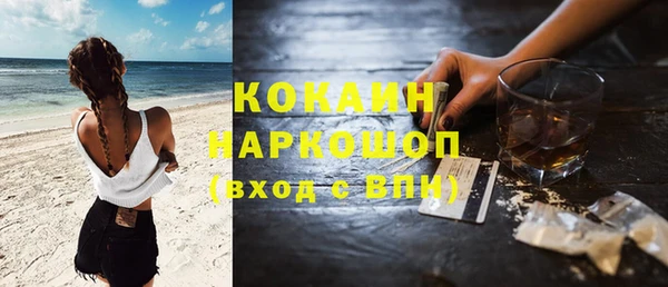 СК Елизово